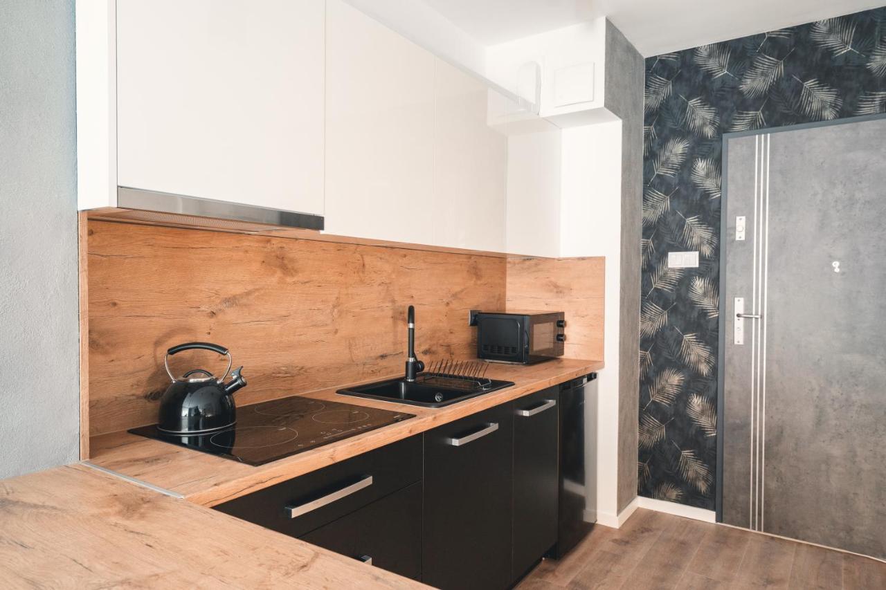 Apartament Nr 16 - Zrodlana 2 Apartment ชเวียราโดว์-สโดรยจ์ ภายนอก รูปภาพ